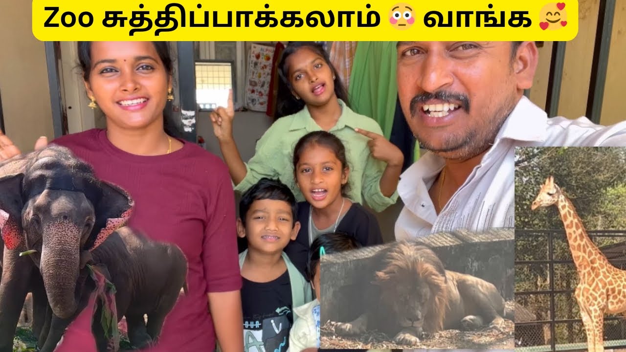இன்னைக்கு பெங்களூர் zoo போய் சிங்கம் 😳 புலி  எல்லாம் நேர்ல பாத்தோம் 🥰 #durgagandhi