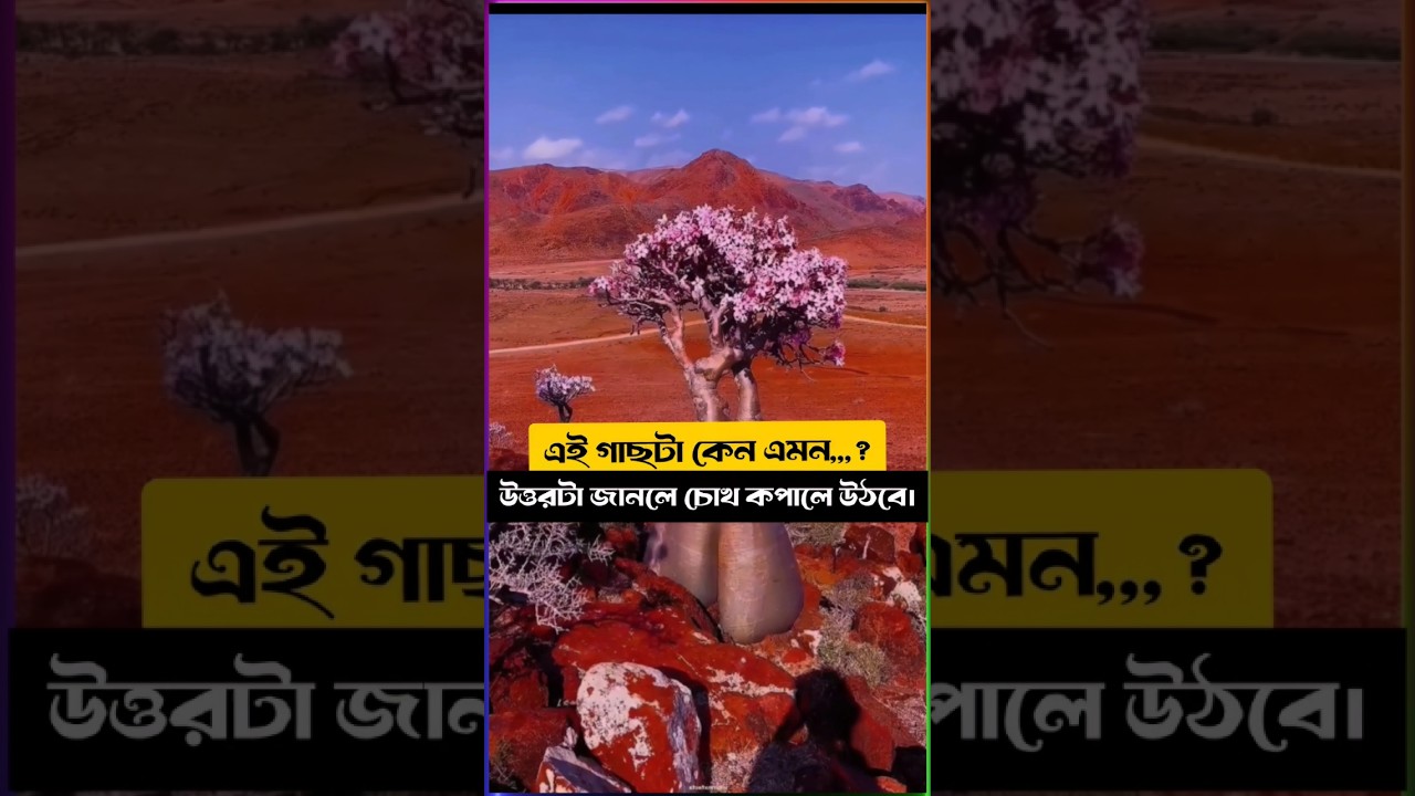 অদ্ভুত প্লানেট ,