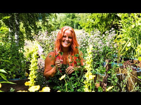 Video: Hur Och Vilka Växter äter