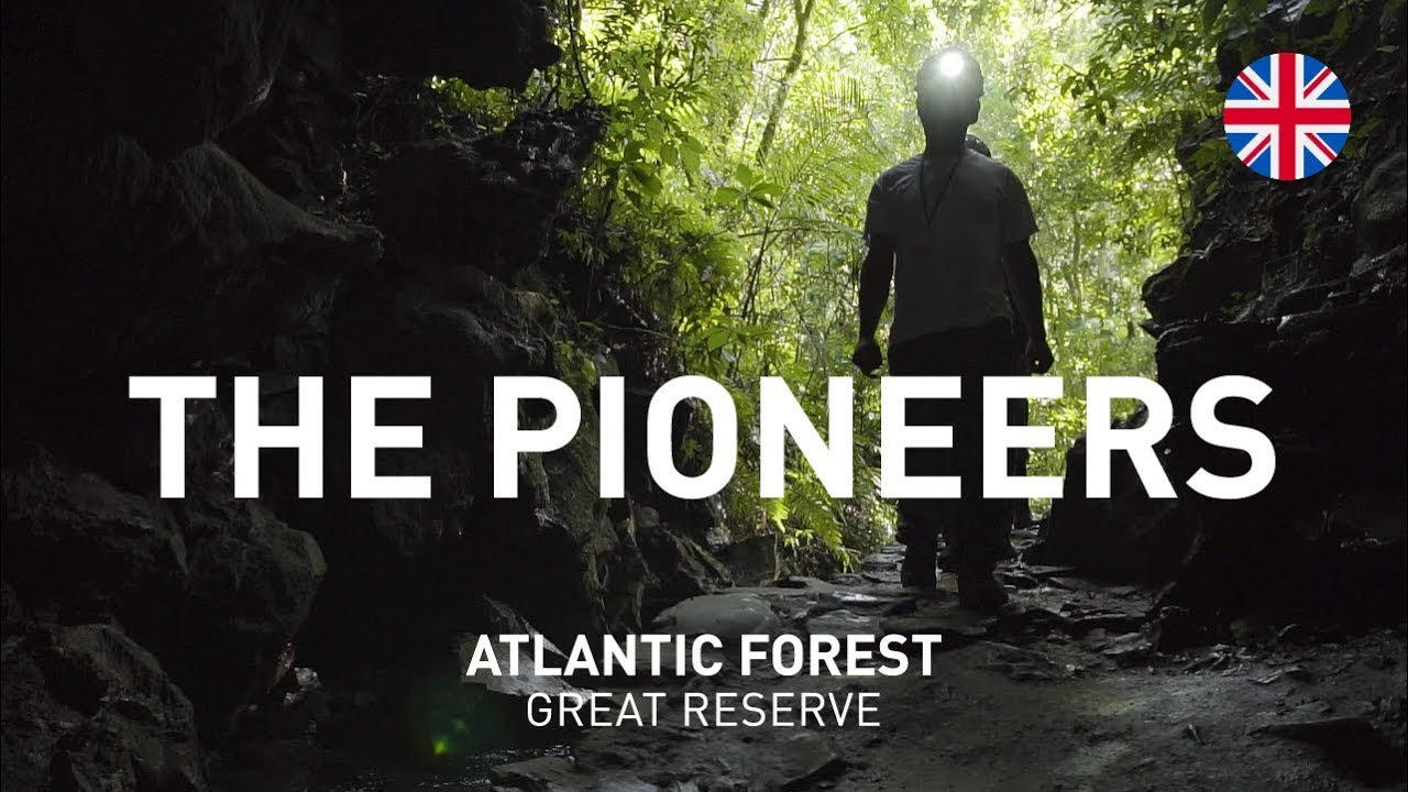 Stories of Atlantic Forest Great Reserve | S1E02 The pioneers