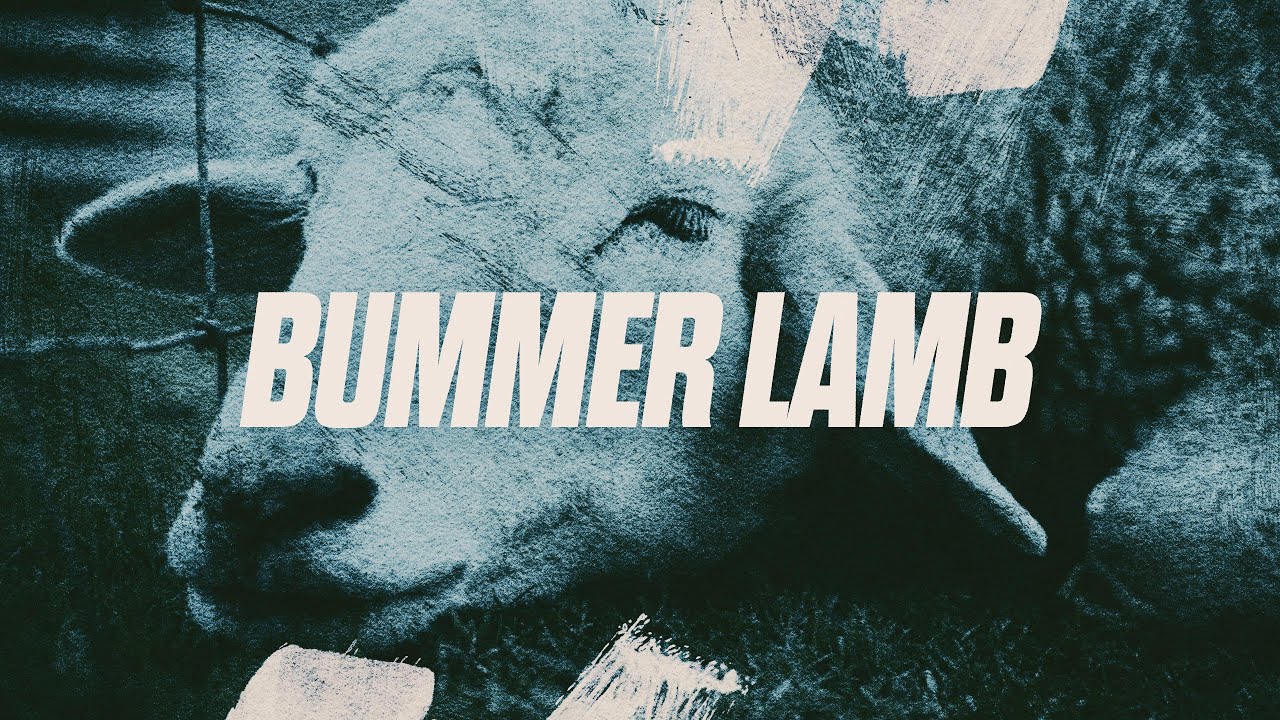Bummer Lamb | Pastor Johnny Honaker | Midweek Service - YouTube