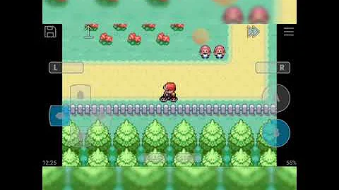 Como chocar um ovo no Fire Red?