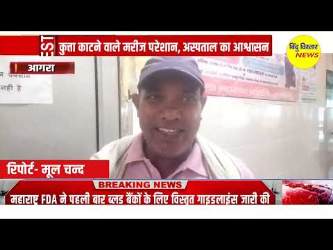 जिला अस्पताल में कुत्ता काटने वाले मरीज परेशान, अस्पताल का आश्वासन मिलेगा एंटी रैबीज इंजेक्शन