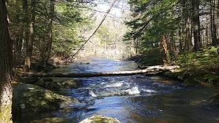 Merry May! Soothing moments at the Witchwood