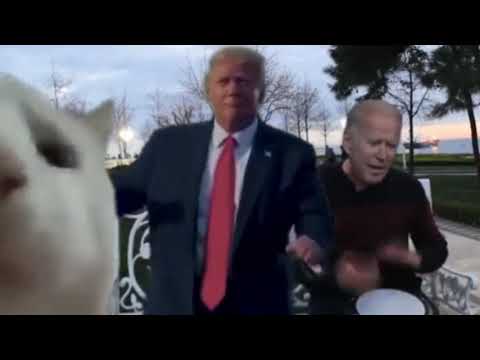 Joe Biden Levan Polkka Sings His Song, Donald Trump Dances (Cat Vibes)