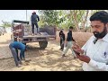 भादरा रामगढ़िया सड़क निर्माण में भ्रष्टाचार का मामला वापिस उठा रहे इंटरलॉक ईंटे ~ Bhadra Live