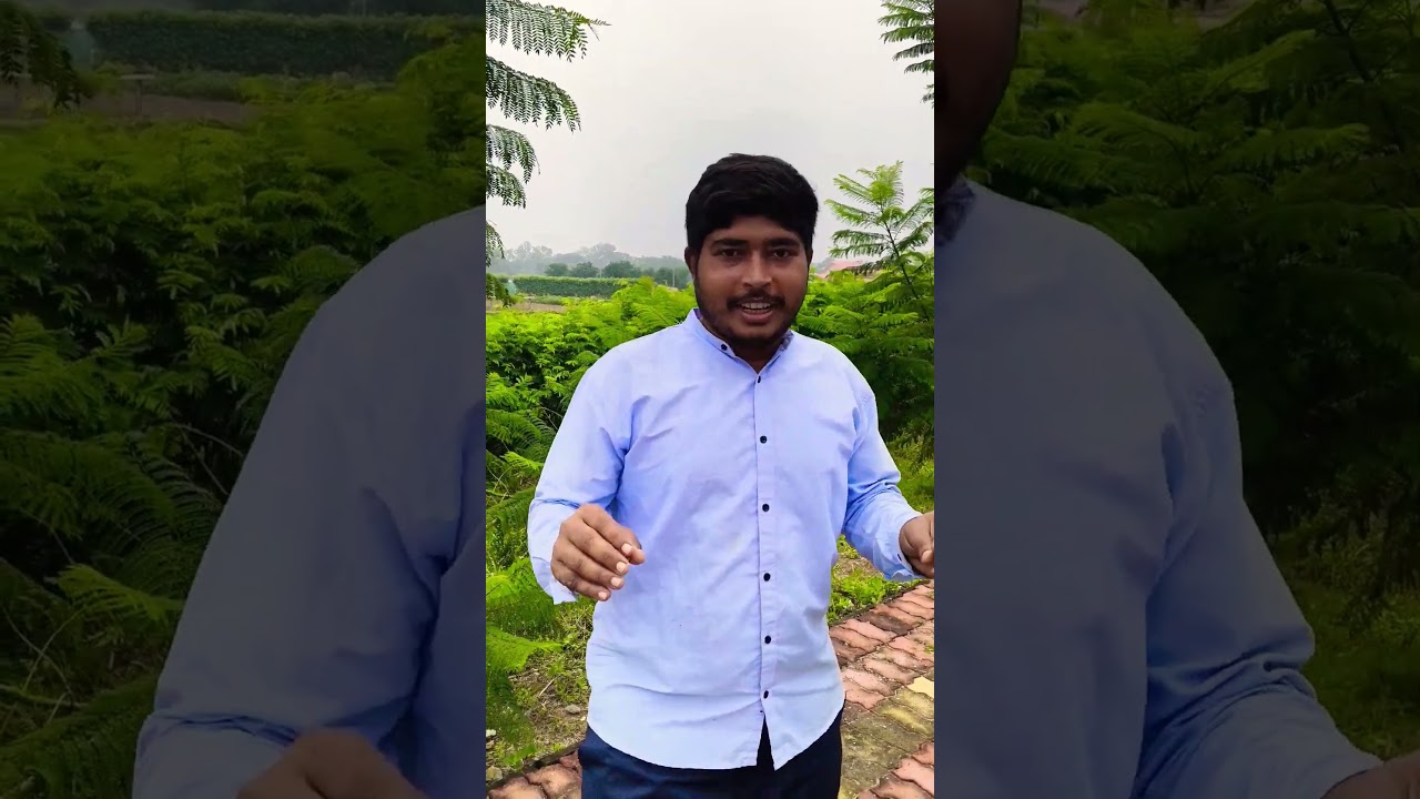 Jacaranda trees started flowering in 2 years | Jacaranda planted on Aug, 2023 