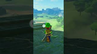 Why You Should Play Modded Breath Of The Wild