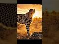 खानदानी शिकारी🐅🐅 #music #anime #song #newsong #blackpanther #lion #viral