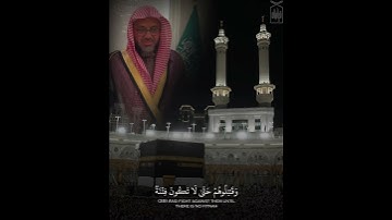 ﴿قُل لِلذينَ كَفَروا إن يَنتَهوا يُغفَر لَهُم ما قَد سَلَف﴾ من سورة الأنفال .. الشيخ سعود الشريم 🤍.