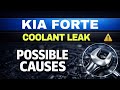 Kia Forte Coolant Leak - Possible Causes Explained