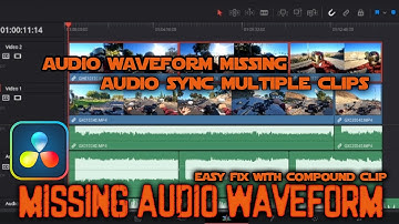 How To Fix Davinci Resolve Missing Audio Waveform at Beginning of a Clip