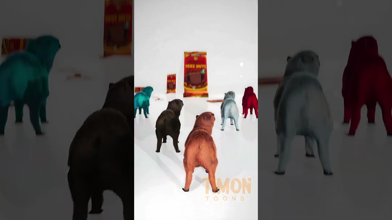 Capybara Deez Nutz?!! 🥜😘 @feastables @mrbeast