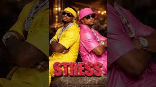 DIAMOND PLATINUM FT JUX STRESS