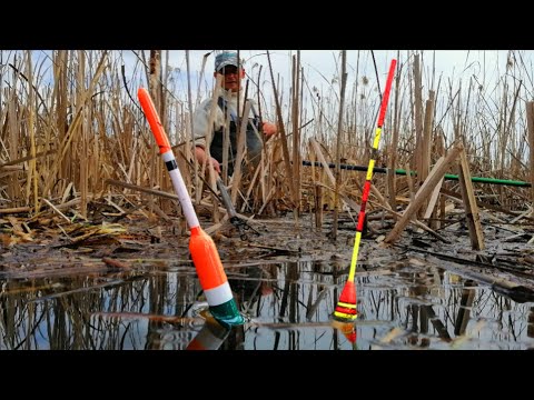 ДОЧЕКАВСЯ!!! КРУПН ВЕСНЯН КАРАС НА ПОПЛАВОК