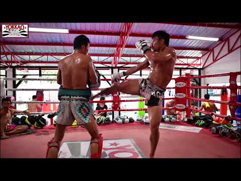 Manachai YOKKAOSaenchaiGym Training and Fights Highlights | Muay Thai Motivation