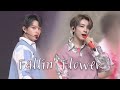 SEVENTEEN - 「Fallin&#39; Flower」 |  210427 JAPAN FANMEETING HARE