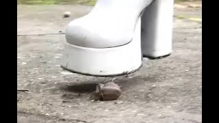 N68 Bug Crush Teaser - Sneakers, Boots And Snails