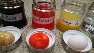 Sam's Science Experiment 2017 Day #2: Observations and Notes