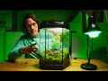 Make a terrarium from an aquarium