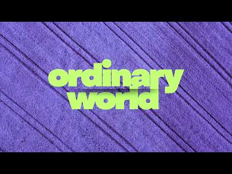 Pulsedriver & Topmodelz - Ordinary World
