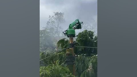 Béc SKY41 Chính Hãng Phun Mưa Cực Đều Thiết Bị Tưới Gia Nông#shorts