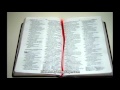 Portuguese Luxury Bible With Concordance Leather Bound Golden Edges The Words Of Christ In RED Portuguese Luxury Bible With Concordance Leather Bound Golden Edges The Words Of Christ In RED