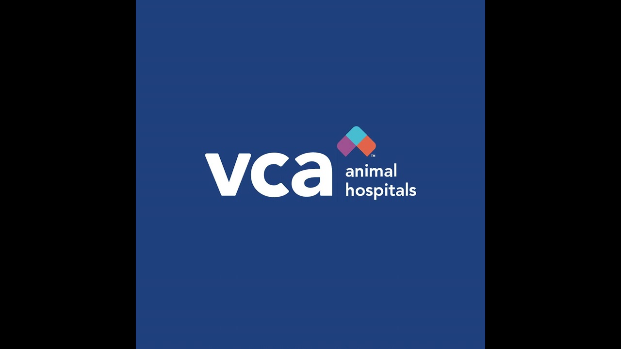 Reflections on Hurricane Ian: Lisa Gillespie