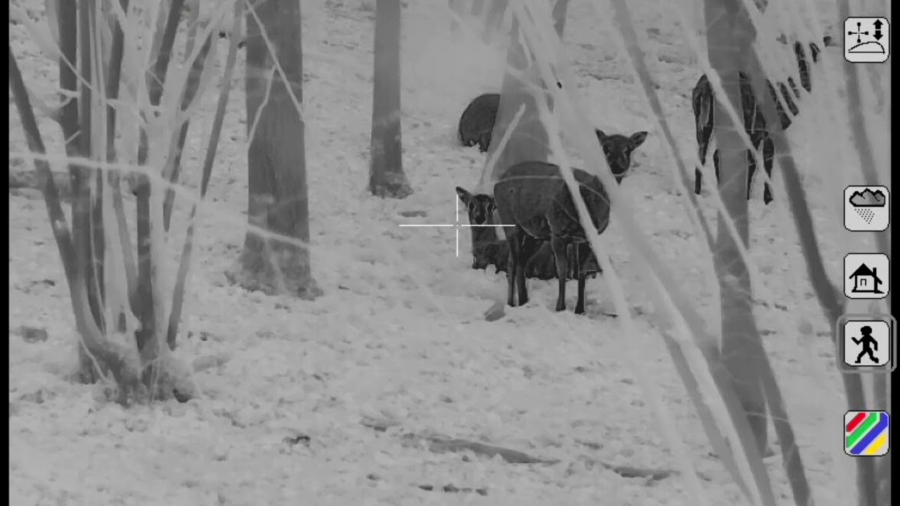 Eagle TSV 14-03 Phoenix lov dancete bez poskozeni zberiny