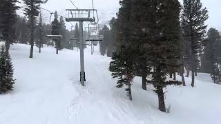 Bridger Bowl: Powder Park