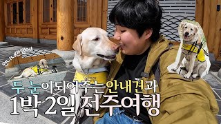 뭐든 척척 찾아주는 안내견과 1박2일 전주 여행!