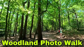 Woodland Photo Walk #trees #woodland #mindfulness #komorebi #walkthrough
