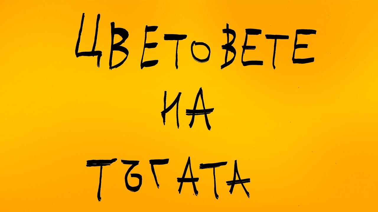 Цветовете на Дизайна! ПАПИ ХАНС Създаване на Визията за Албума.