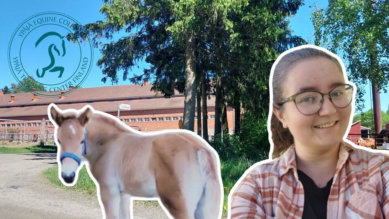 VARSOJA JA MUN TALLIPÄIVÄ❤️🐴 || Työssäoppi My Day