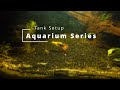 Aquarium: Tank Setup!!