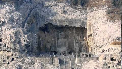 survival mode - linda