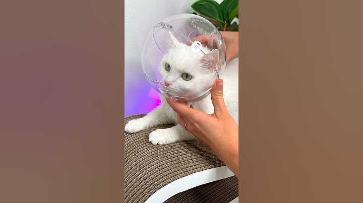 КАК ПОДСТРИЧЬ КОГТИ?😳