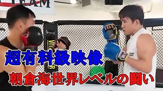 【超有料級】朝倉海世界レベルのガチスパーリング。