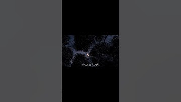 فستذكرون ما اقول لكم وافوض امري الى الله ان الله بصير بالعباد  | القرآن الكريم