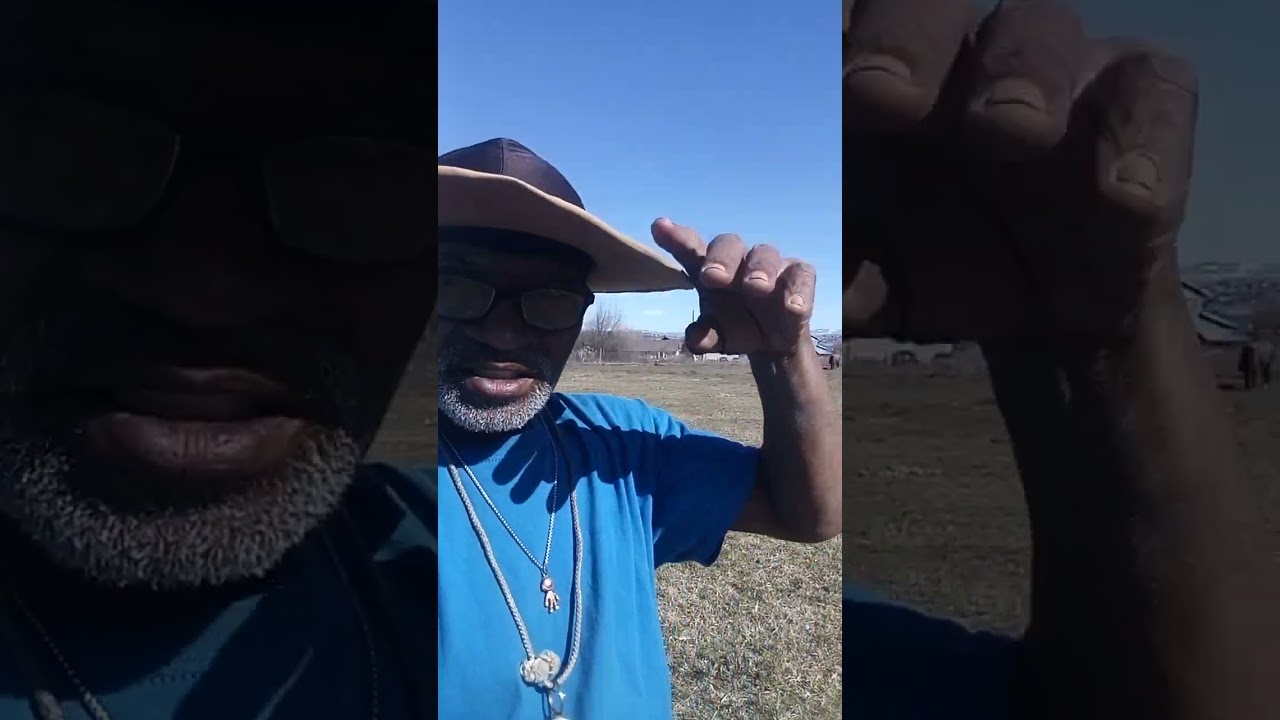 a day with lucky... add heart ranch 31524