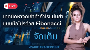เทคนิคหาจุดเข้าทำกำไรแม่นยำแบบมือโปรด้วย Fibonacci
