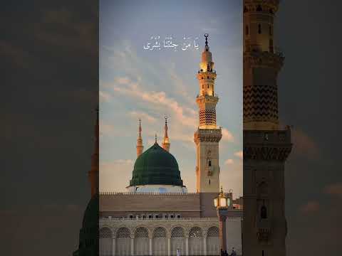 يا أبا الزهراء كم أحن إليك  4