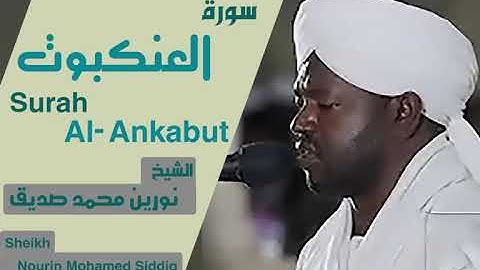 الشيخ نورين محمد صديق سورة العنكبوت  Sheikh | Nourin Mohamed Siddig | Surah Al-Ankabut