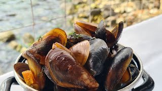 Bulgaristan - Dalboka Midye Çiftliği