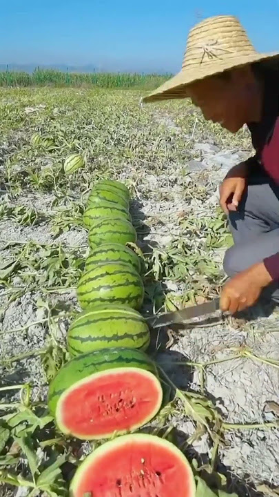 🥰🌹Bismillah ❤ Ya Rahman ya rahim 🥰🌹