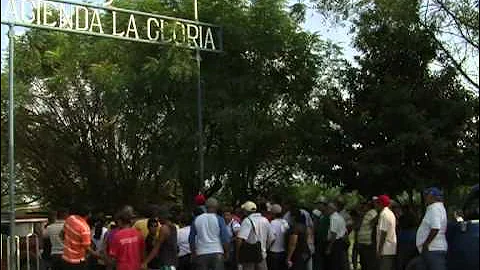 Venezuela's farmers stand off with Chavez over land seizures