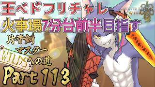 【MHWilds】やっぱりヒカリゴケか...（現在7分53秒）　～片手剣マスターへの道 WILDS　part113～【ケモノV/片手剣】