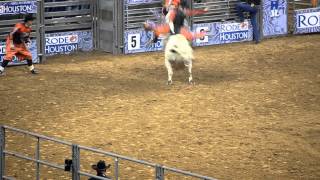 Houston Rodeo 2013 2