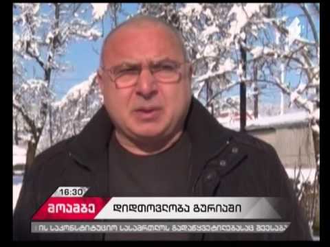 რა პრობლემები შექმნა დიდთოვლობამ  გურიაში