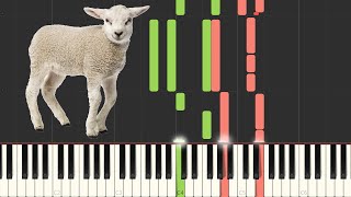 Mary Had a Little Lamb [Piano Tutorial] (Synthesia)